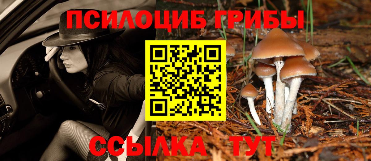Каменск-Уральский  Галлюциногенные грибы мицелий  Вход с VPN 