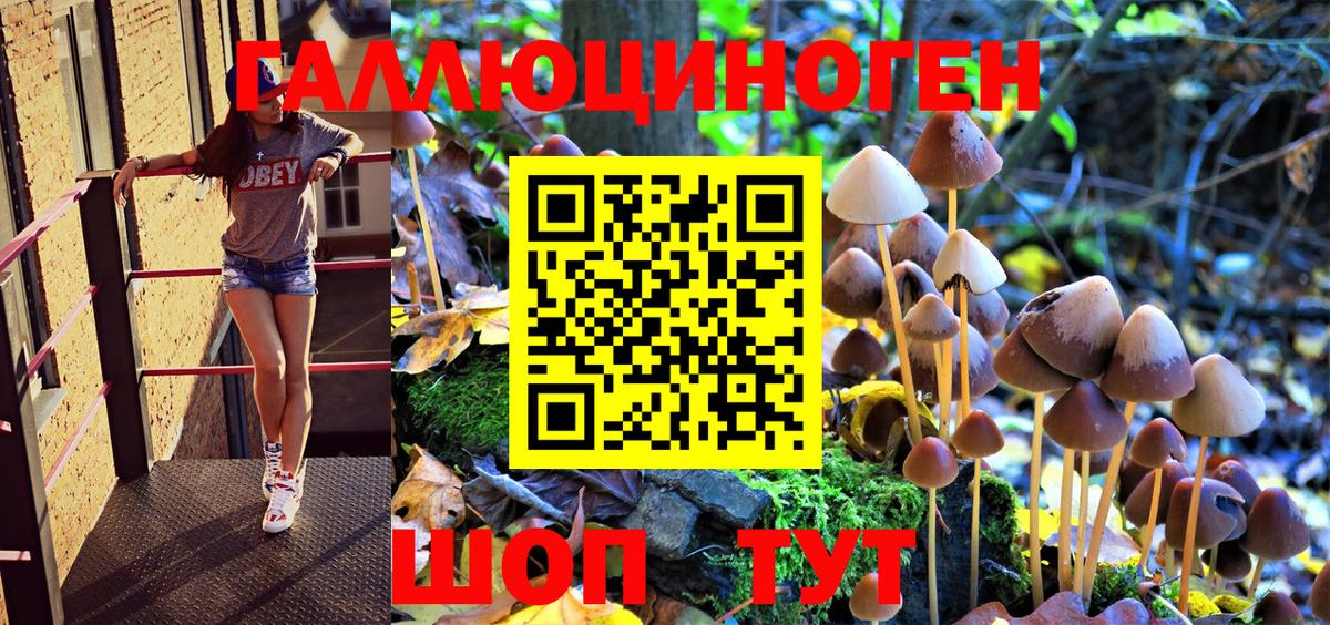 Галлюциногенные грибы Psilocybine cubensis Каменск-Уральский